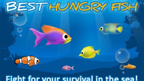 Best Hungry Fish .